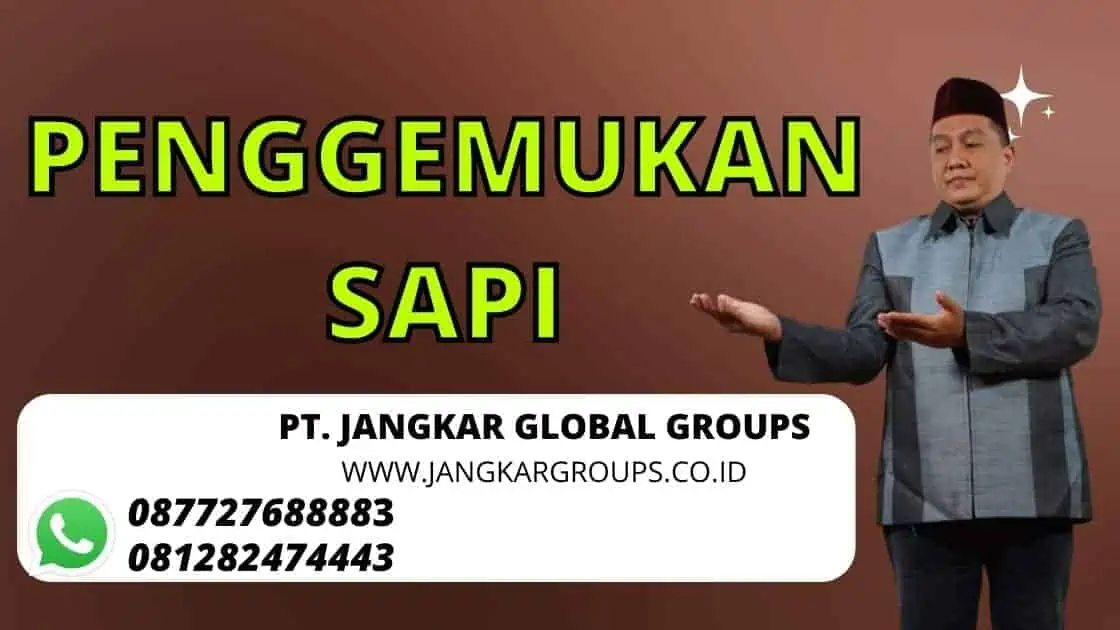 penggemukan sapi di indramayu