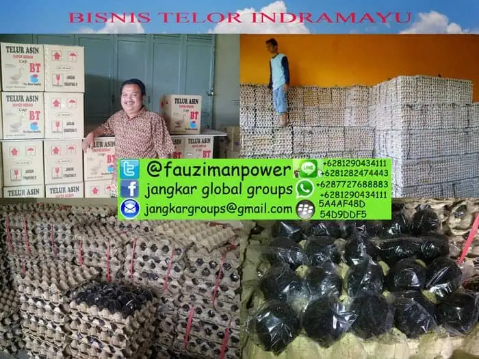 Pusat telor asin dan telur ayam indramayu