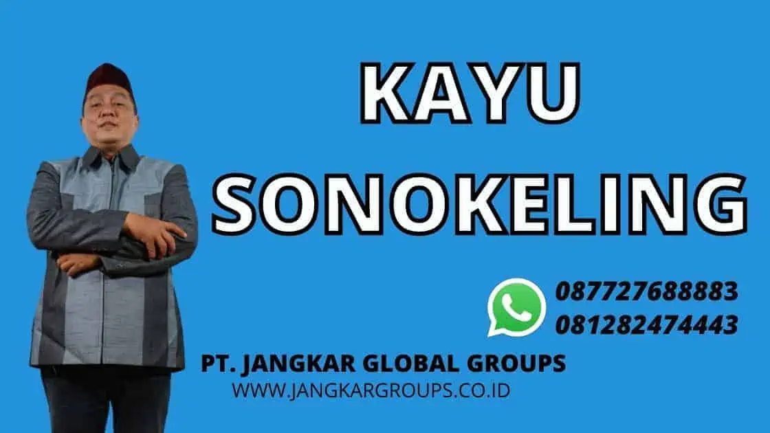 KAYU SONOKELING, SUPPLIER EXPORTIR SONOKELING DAN MERANTI