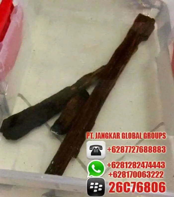 Gaharu super oud agarwood