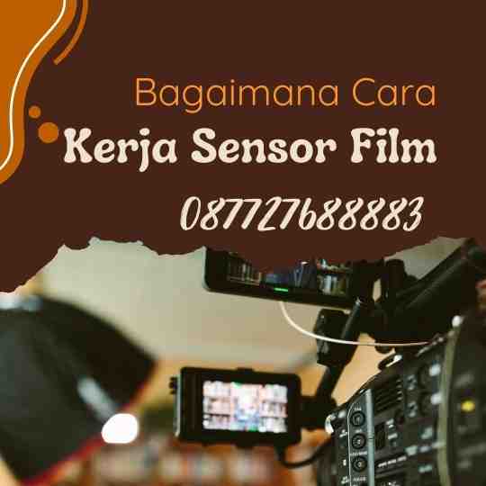 Cara Kerja Sensor Film