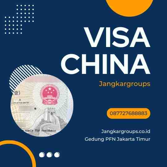 Visa China