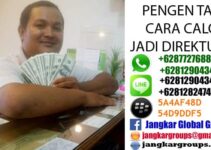 CALO JADI DIREKTUR UTAMA