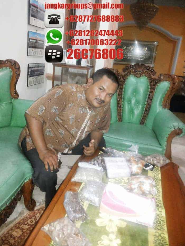 jual beli pinang distributor pinang