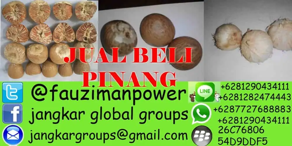 jual beli pinang