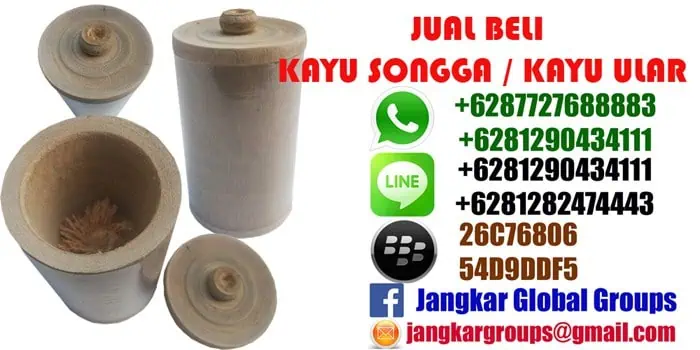 jual beli kayu ular herbal