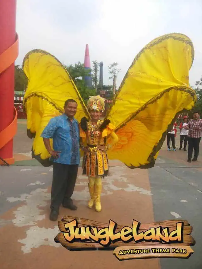 buterfly jungleland