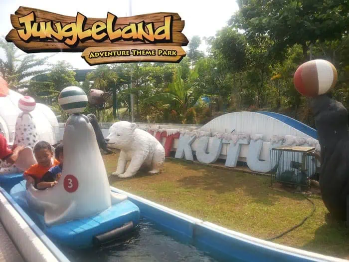 kutub jungleland