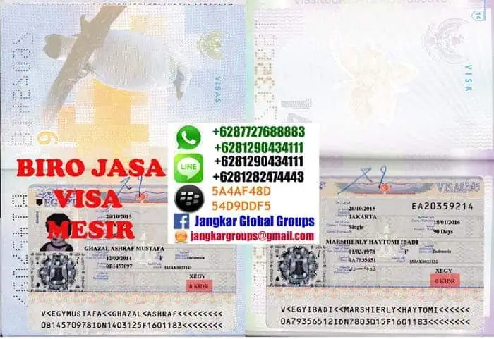 visa-mesir