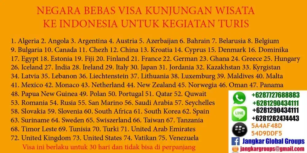 visa kunjungan diantaranya