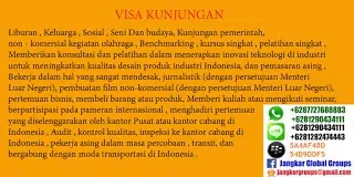 visa kunjungan