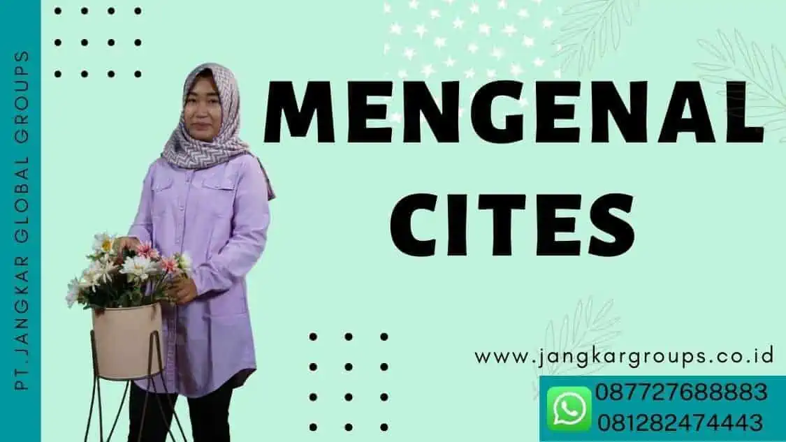 MENGENAL cites