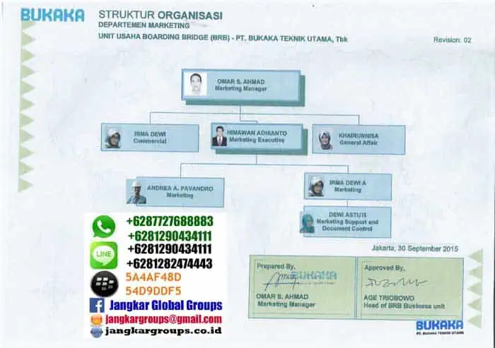 struktur-organisasi