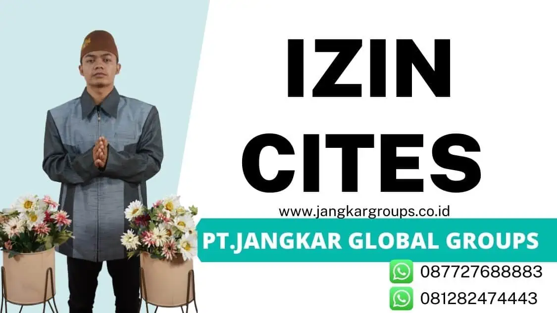 izin cites