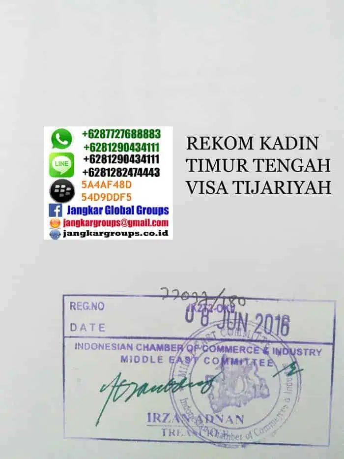 rekom-kadin-timteng