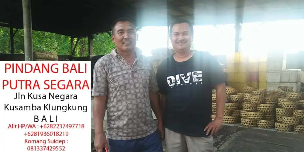 pindang bali Pabrik Pengolahan Ikan Pindang