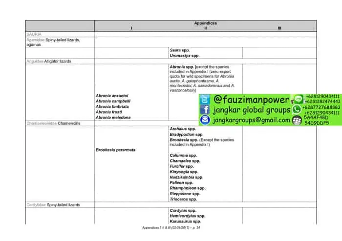 tumbuhan satwa liar cites Appendices 2017-A_034