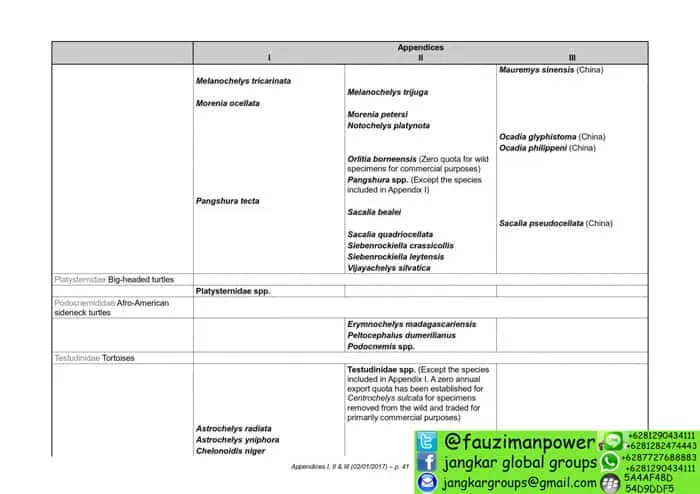 tumbuhan satwa liar cites Appendices 2017-A_041