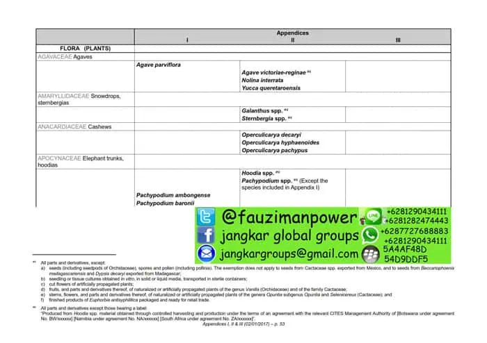 tumbuhan satwa liar cites Appendices 2017-A_053