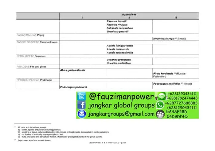 tumbuhan satwa liar cites Appendices 2017-A_065
