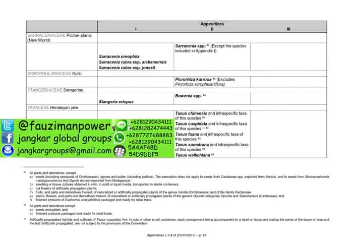 tumbuhan satwa liar cites Appendices 2017-A_067