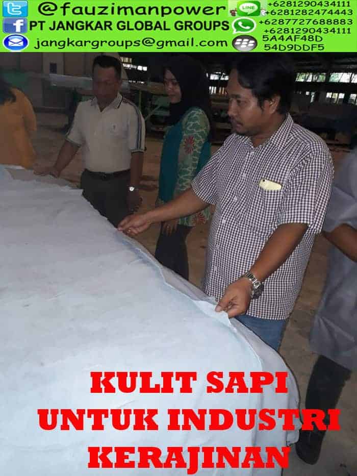 kulit sapi untuk industri kerajinan