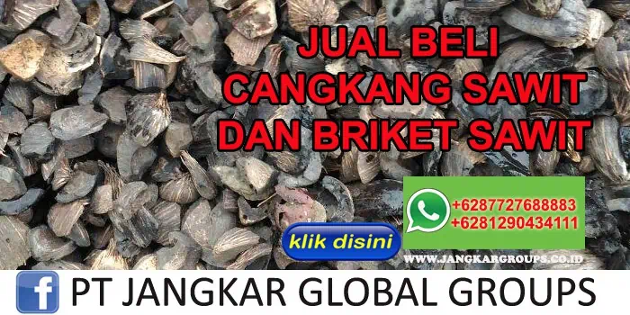 JUAL BELI CANGKANG SAWIT DAN BRIKET CANGKANG SAWIT | export cangkang sawit dan briket sawit