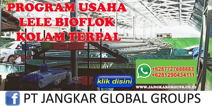 PROGRAM USAHA LELE BIOFLOK KOLAM TERPAL AKHMAD FAUZI SH MH