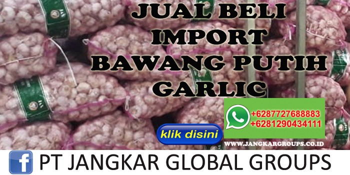 JUAL BELI IMPORT BAWANG PUTIH GARLIC