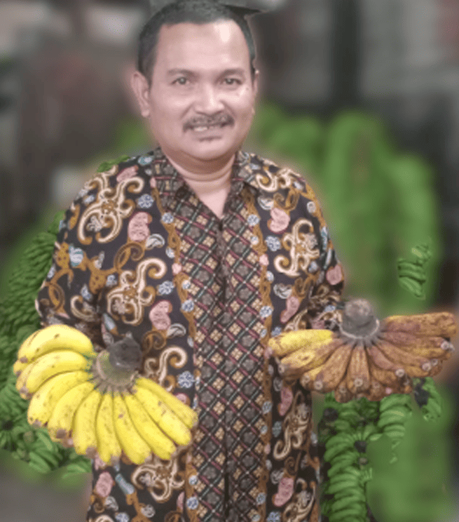 Bos-Pisang-Barangan