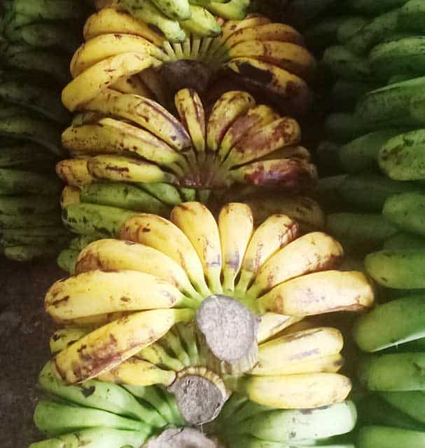 Supplier-Pisang-Barangan