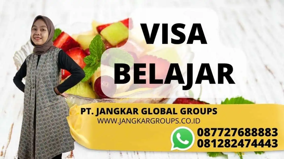 VISA BELAJAR