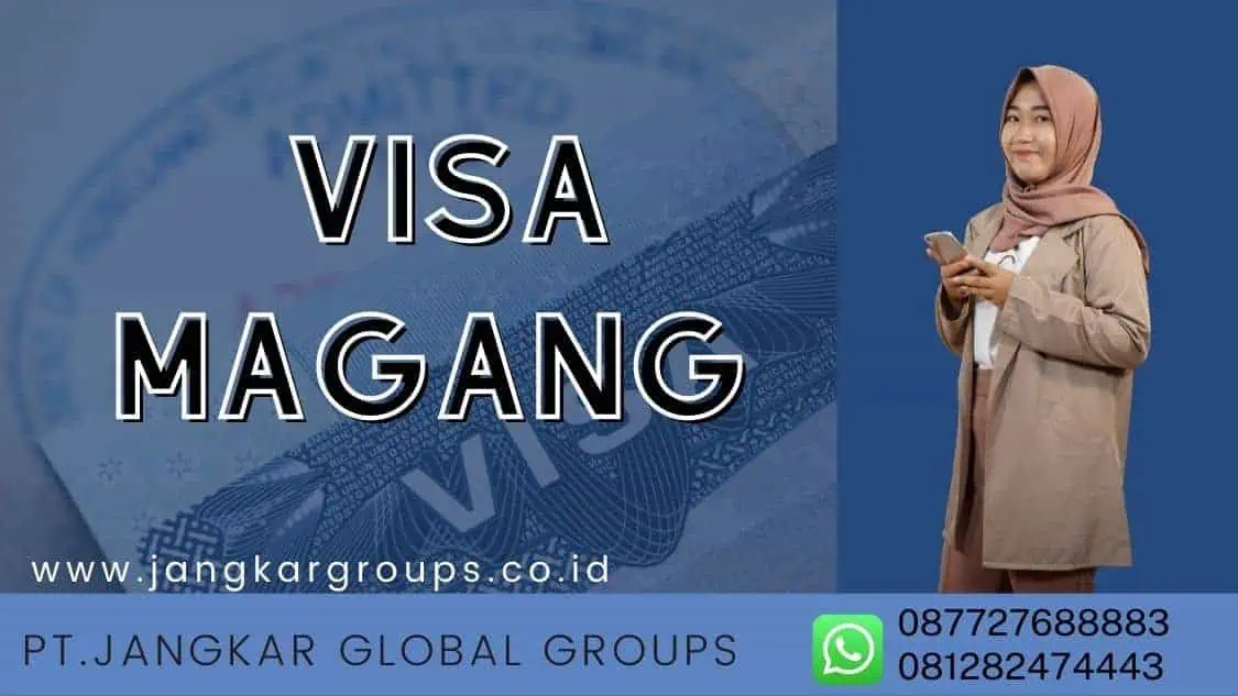 Visa magang