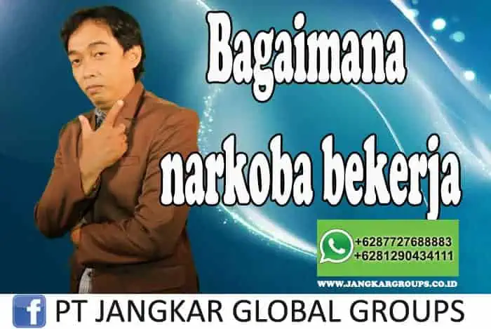 Bagaimana narkoba bekerja