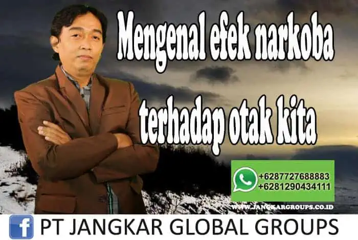 Mengenal efek narkoba terhadap otak kita