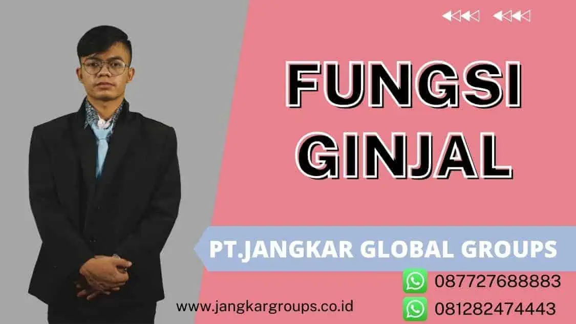 Fungsi Ginjal