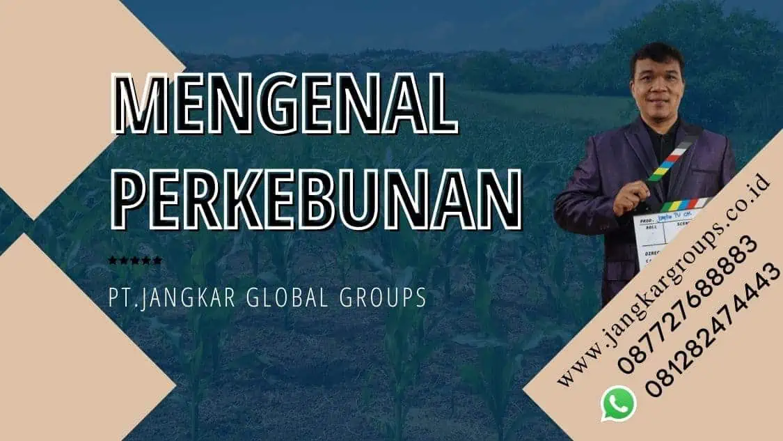 mengenal perkebunan dan ruang lingkupnya