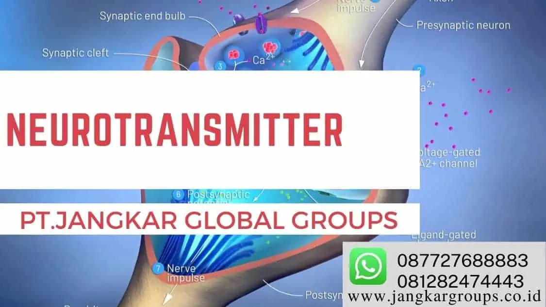 neurotransmitter Narkoba Dibutuhkan Untuk Kedokteran