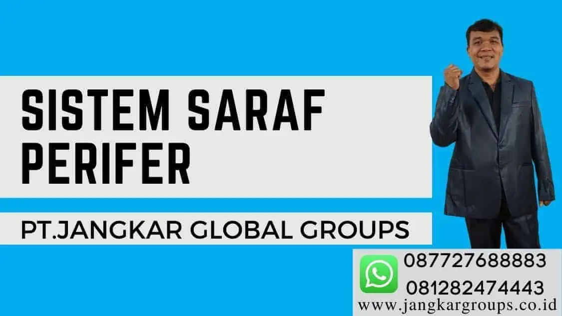 sistem saraf perifer Efek Narkoba Terhadap Otak