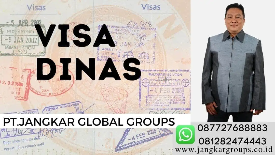 Visa DINAS