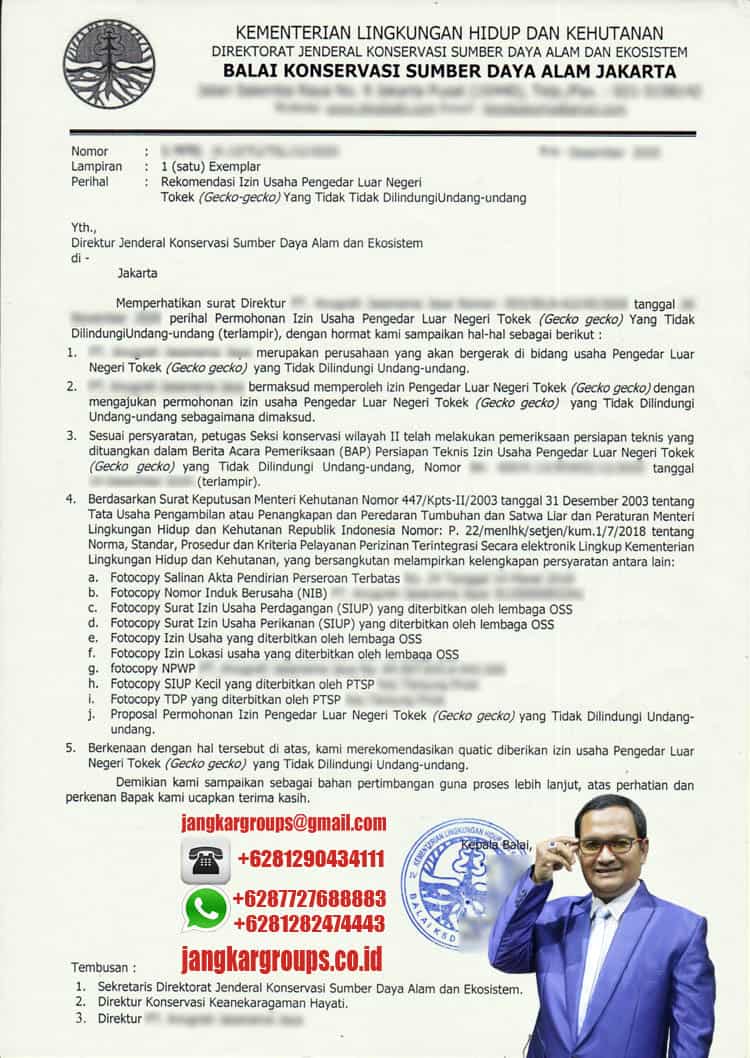 Surat Rekomendasi BKSDA Izin Edar Luar Negeri , Persyaratan penangkaran tokek