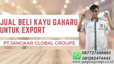 JUAL BELI KAYU GAHARU UNTUK EXPORT