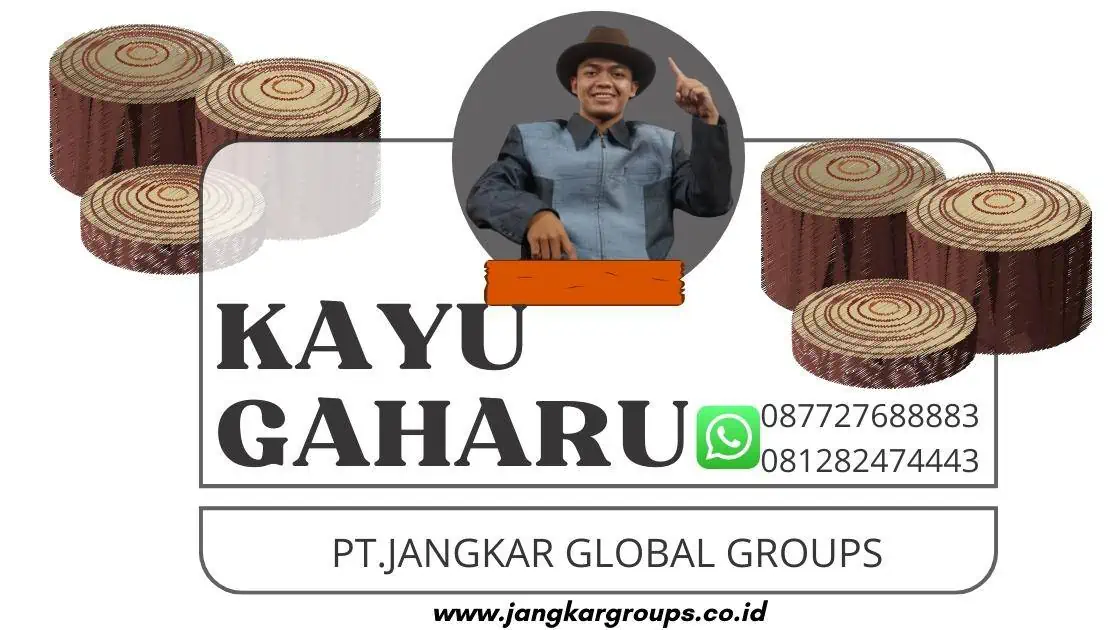 kayu gaharu