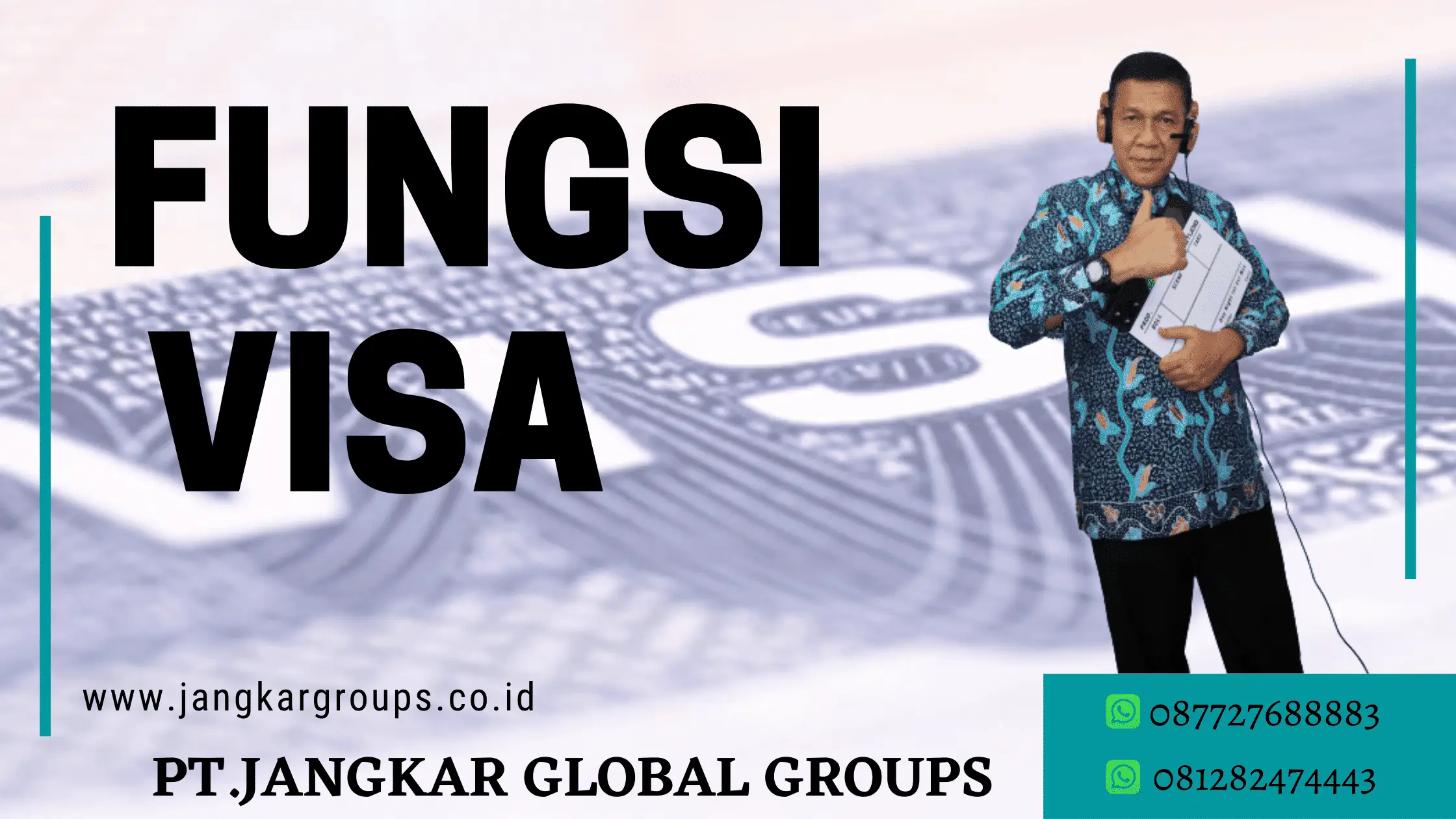 FUNGSI VISA