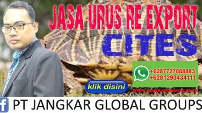 Jasa Urus Re-export CITES