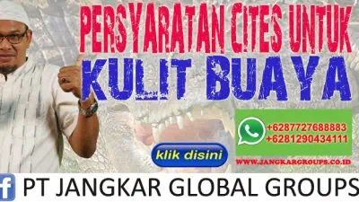 Persyaratan CITES untuk Kulit Buaya