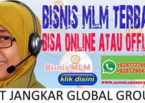 Bisnis MLM terbaik bisa online atau offline