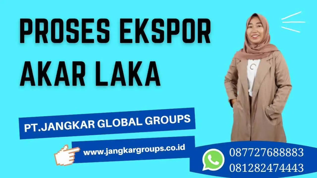 Proses Ekspor Akar Laka