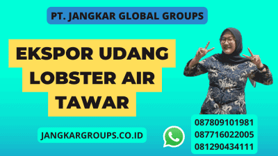 Ekspor Udang Lobster Air Tawar