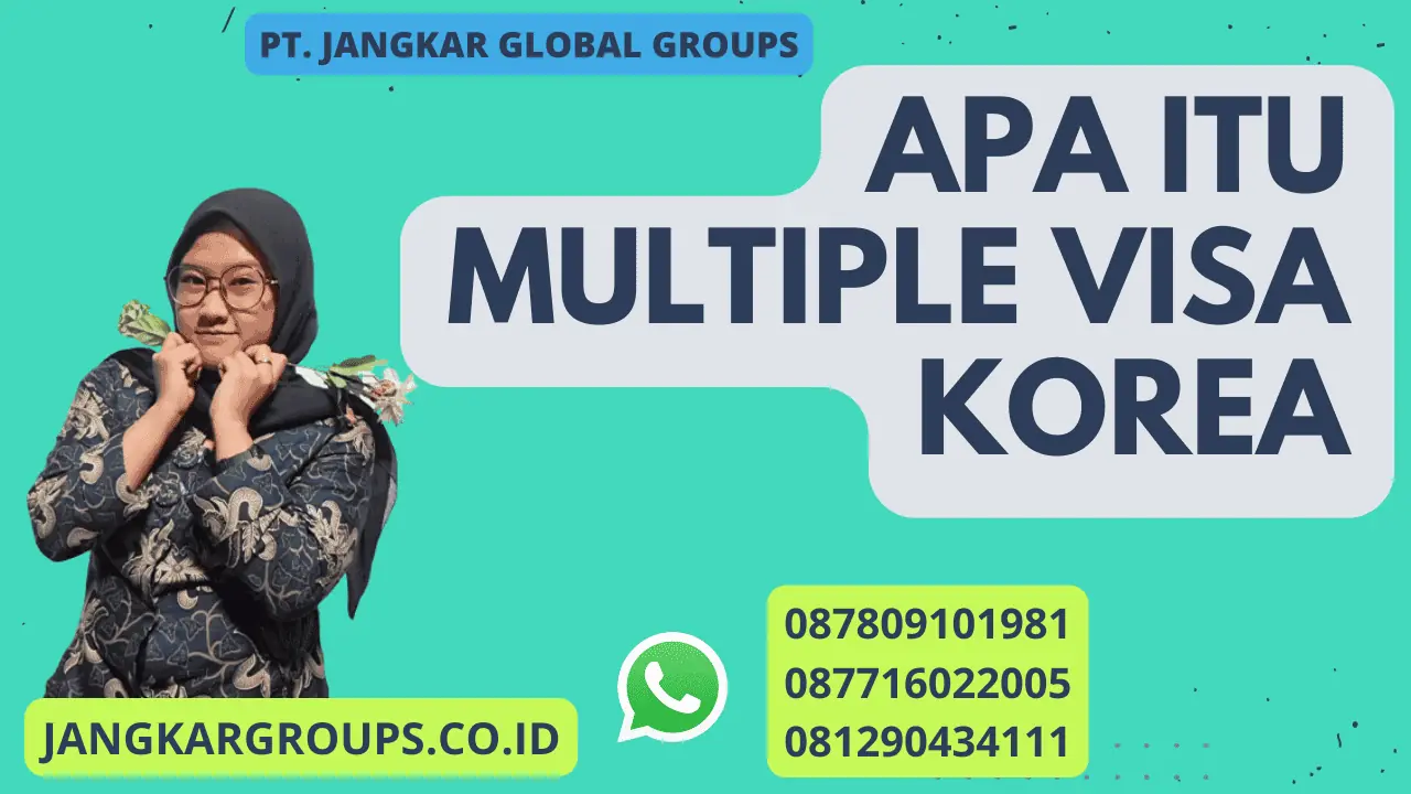 Apa itu Multiple Visa Korea